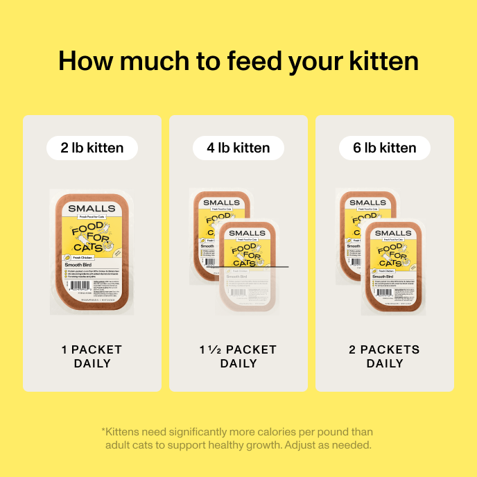 Kitten feeding guide showing that a 2 lb kitten needs 1 packet of Smalls daily, a 4 lb kitten needs 1 and a half packets daily, and a 6 lb kitten needs 2 packets daily. Kittens need significantly more calories per pound than adult cats to support healthy growth.