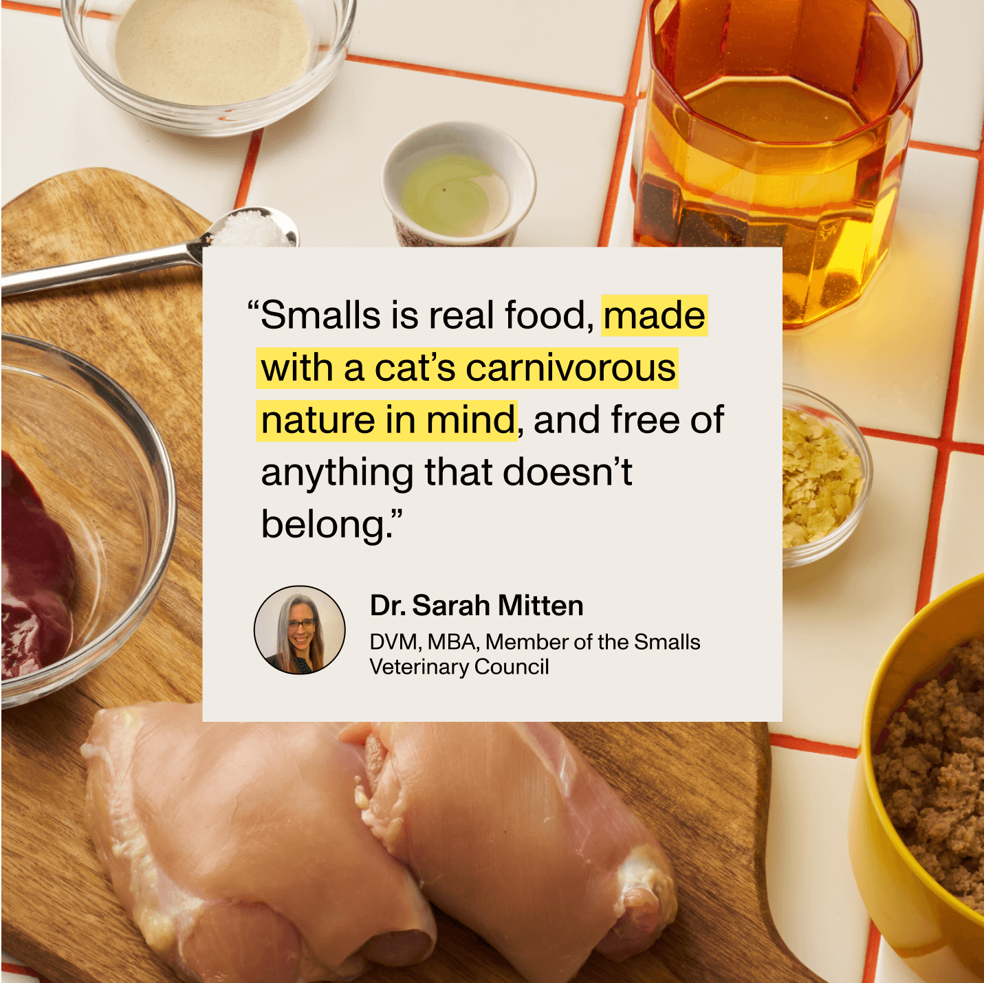 Quote from Dr. Sarah Mitten, a veterinarian and member of the Smalls Veterinary Council, saying Smalls is real food made for a cat’s carnivorous nature, shown over a background of fresh chicken and ingredients.